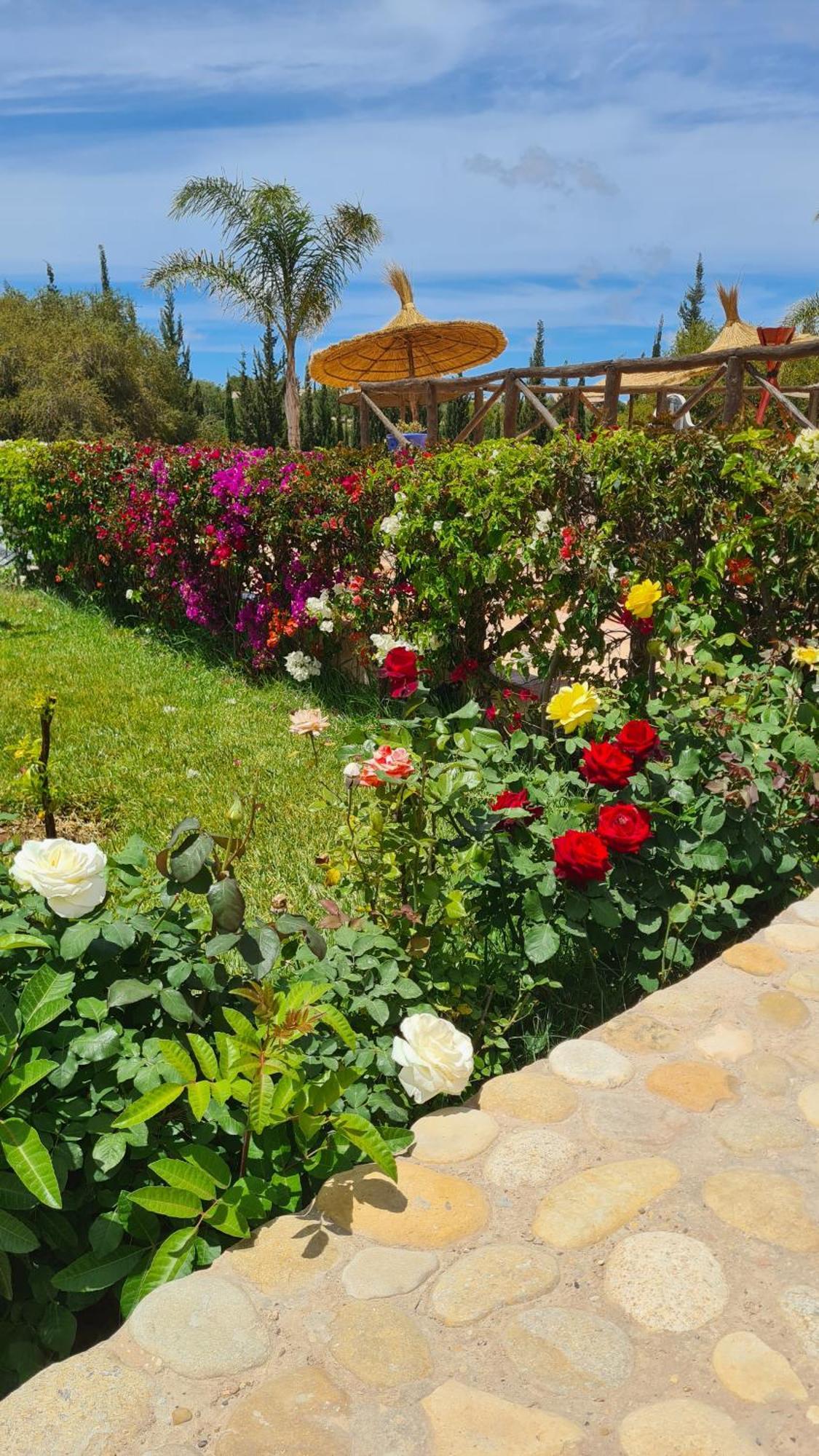 Villa Amma Essaouira Ngoại thất bức ảnh